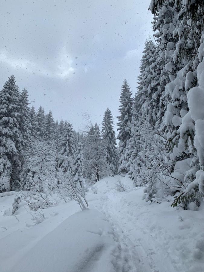 Challet Jasna Exclusive **** Demänovská Dolina Eksteriør bilde